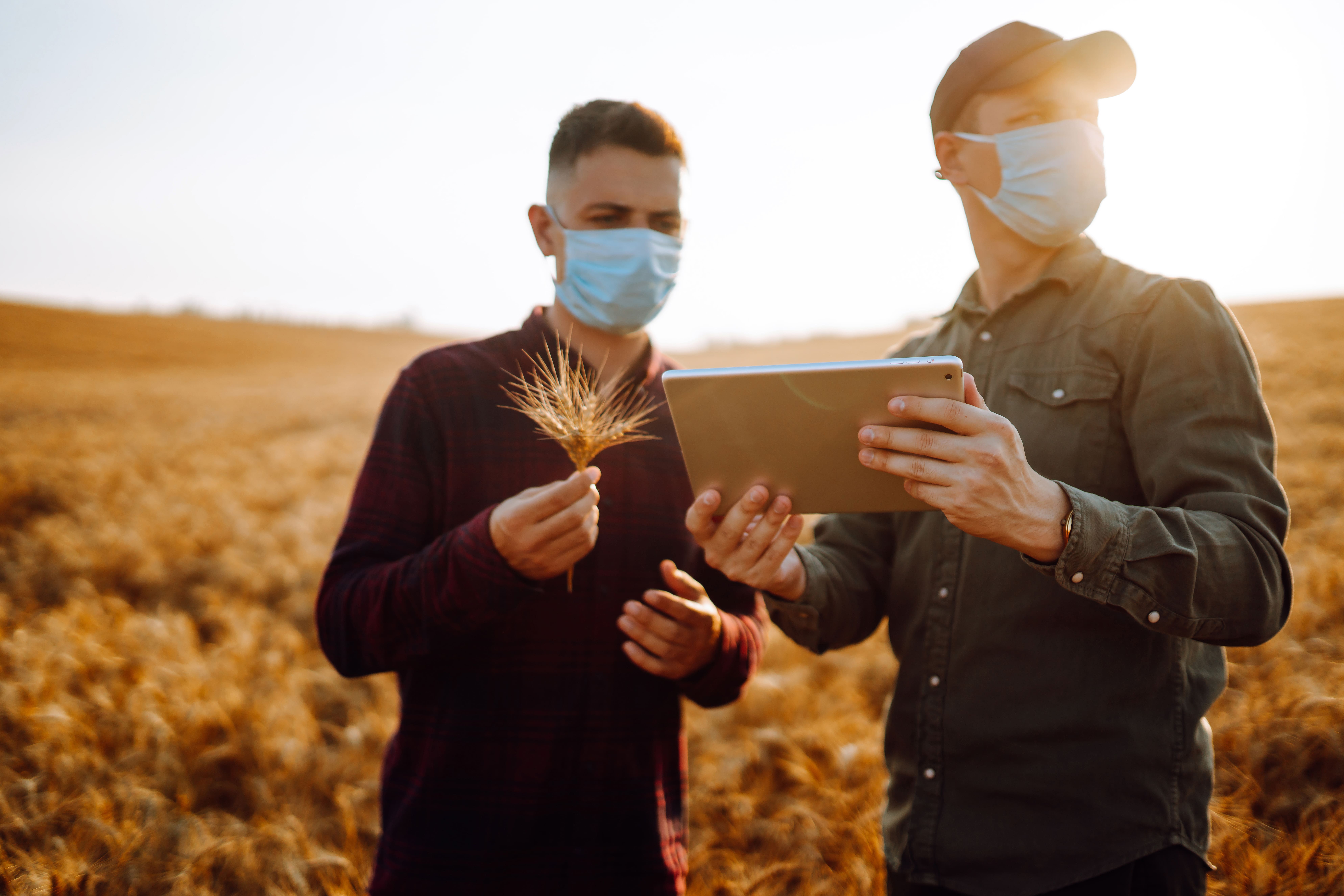 ISO 14000 Çevre Yönetim Sistemi Nedir?